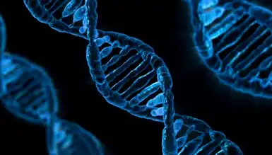 Japon Bilim İnsanları Down Sendromunda CRISPR Atılımı Yaptı