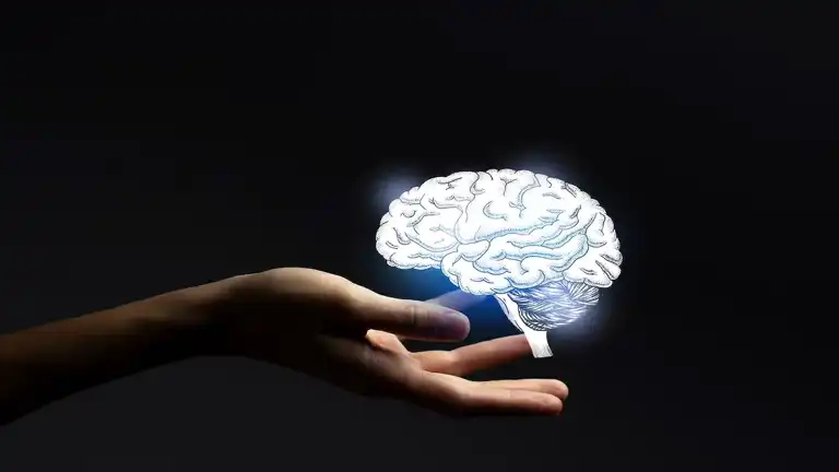 İnsan Beyninin İşlem Hızı Ölçüldü: Şaşırtıcı Sonuçlar!
